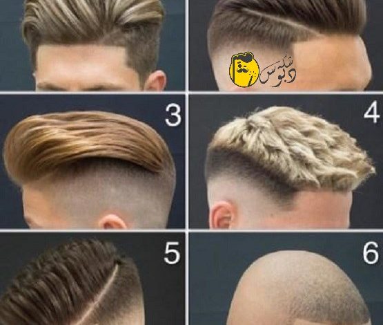 أنواع الشعر عند الرجال بالصور