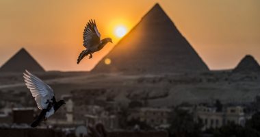 شمس دافئة وآثار مذهلة.. مصر ضمن قائمة "الإندبندنت" لأفضل العطلات الشتوية